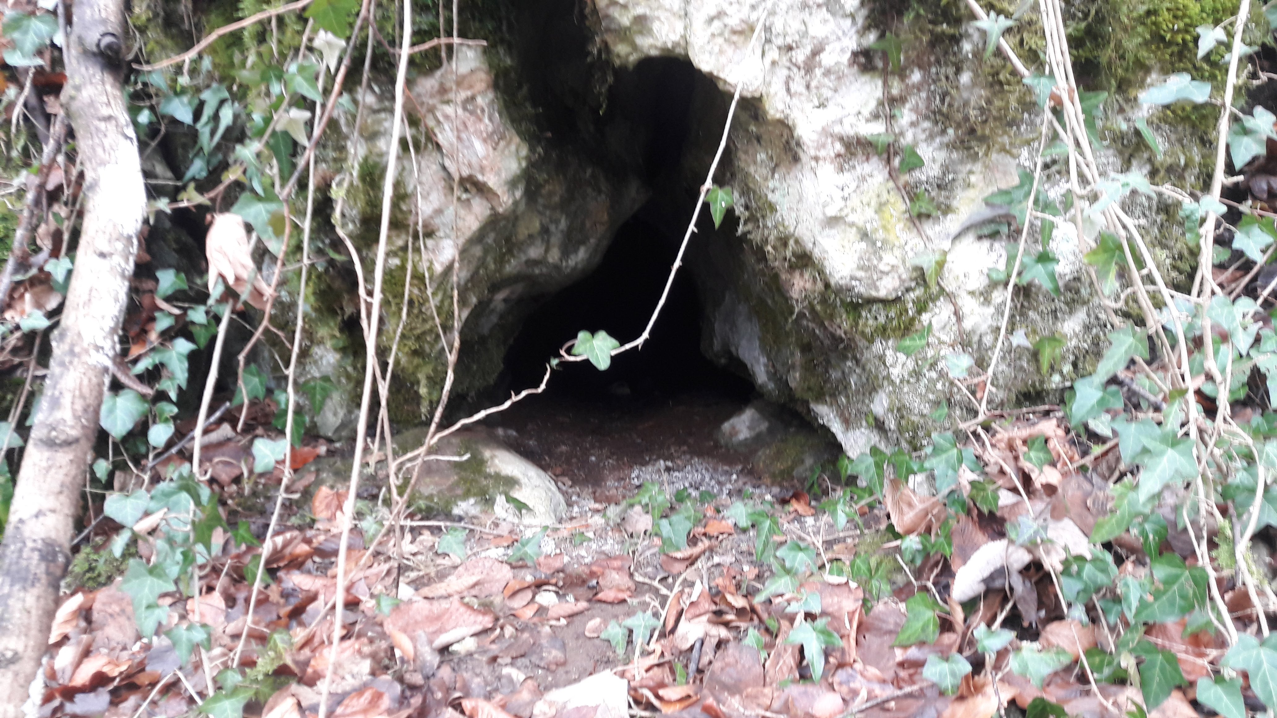 Pestera cu Cot - Image 2